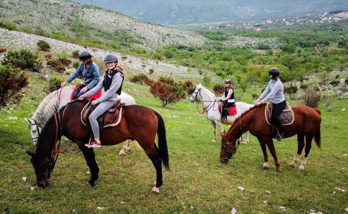 Horse riding tour